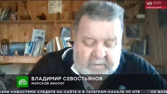 "ПРИРОДА ШПИОНАЖА" смотреть онлайн