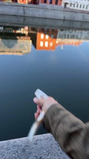Раздача рыбы на водоотводном канале. Рыбалка в центре Москвы. Последний день перед запретом. Жерех. смотреть онлайн