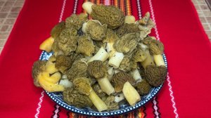 Жареные  сморчки с луком и картошкой.