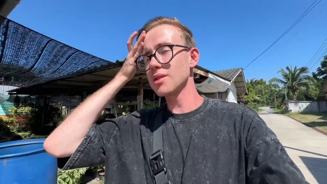 ПРОДАЮ РАСТЕНИЯ ИЗ ТАИЛАНДА! ОЧЕНЬ БОЛЬШОЙ ВЫБОР 🤤 НА смотреть онлайн