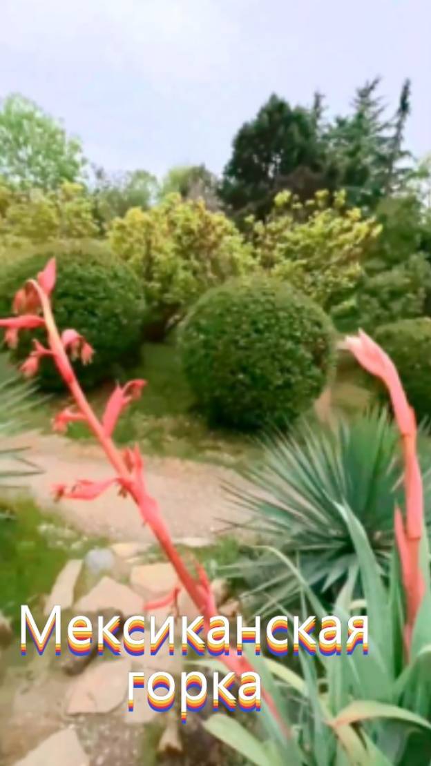 Мексиканская горка смотреть онлайн