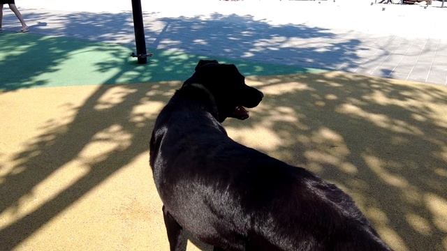 Пляжный отдых в Кисловодске. Старое озеро смотреть онлайн