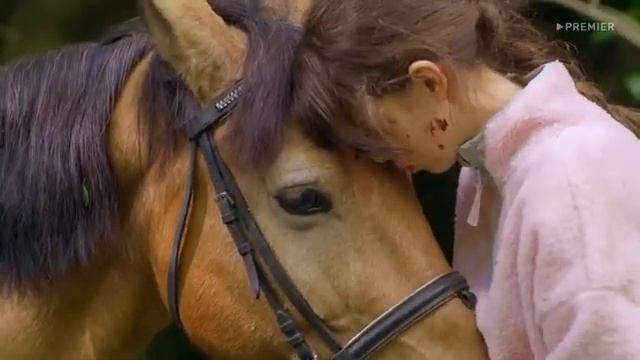 пять минут тишины море горы сезон 5 серия 3 смотреть онлайн