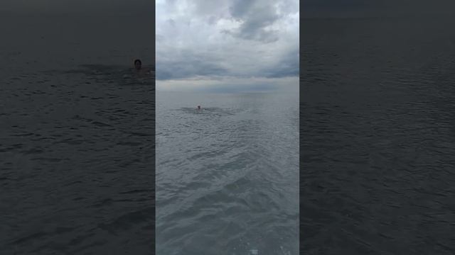 Тамыш Village.Купание после дождя смотреть онлайн