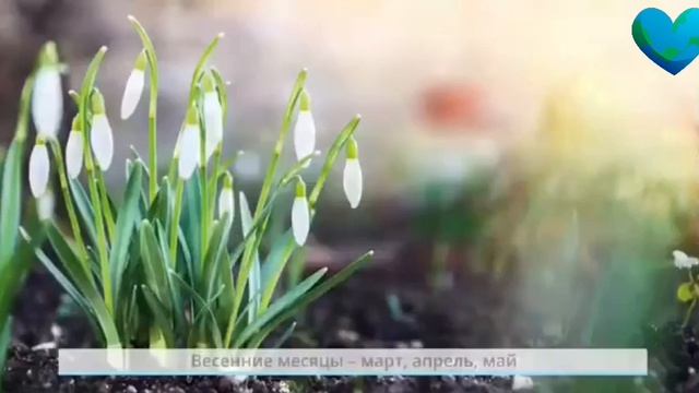 когда наступит лето