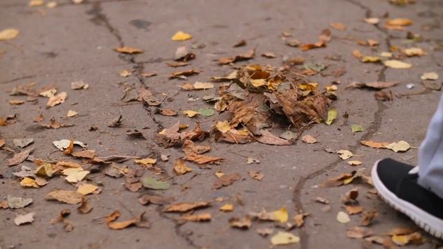 Wanderlust & Wanderings