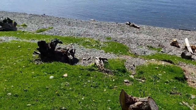 Село Яйлю. Озеро Телецкое. Родниковая вода. Республика смотреть онлайн