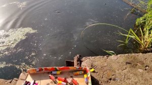 ✅🔥 МОЩНАЯ ПЕТАРДА vs ОЗЕРО 🔥 ВЗОРВАЛ МНОГО ПЕТАРД В Р