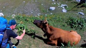 Маршрут №30 "Через горы к морю" Майкоп-Дагомыс с команд?