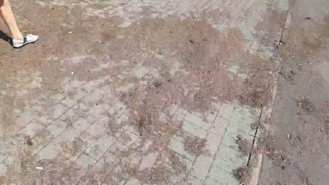 Болталочка на прогулочке,,Борисов Арена!,, смотреть онлайн