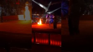 #красноярск #цирк #🎪#графорлов