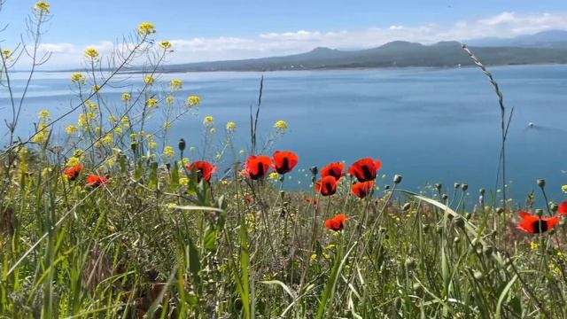 Армянское лето часть 1