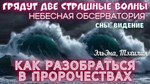 ГРЯДУТ ДВЕ СТРАШНЫЕ ВОЛНЫ. НЕБЕСНАЯ ОБСЕРВАТОРИЯ. СНЫ, ВИДЕНИЕ. Как разобраться в пророчествах.