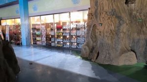 Поездка в Цицикар 2024, часть 3: продолжаем гулять по зоо?