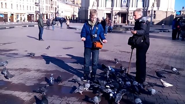 Даниил и голуби смотреть онлайн