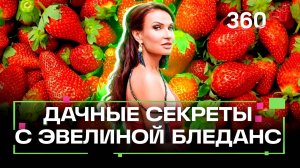 Все секреты богатого и вкусного урожая. Октябрина Ганичкина. Эвелина Бледанс. Дача 360