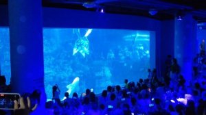 Океанариум в Вэйхае, Китай / Weihai Ocean Aquarium, China