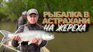 Рыбалка на жереха