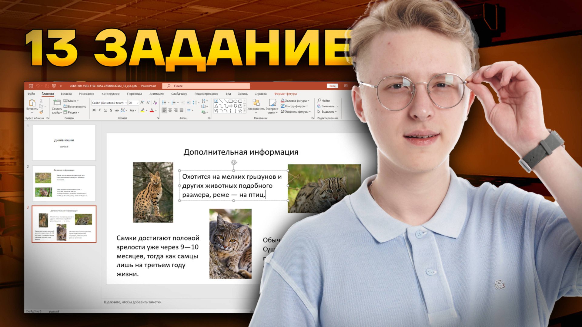 Разбор 13.1 задания ОГЭ по информатике смотреть онлайн