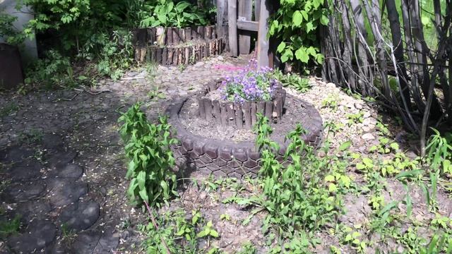 На нас напали птицы. Посеяла подсолнух и расчистила цветник смотреть онлайн