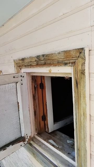 Паук смотреть онлайн