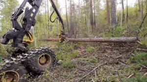 работа валочной техники