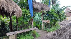 ВЛОГ БАЛИ 2025 | Бали за 7 дней: лучшие места для отдыха и ?