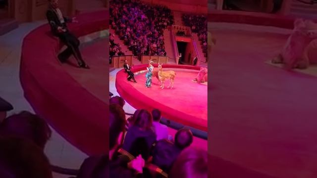 26 февраля 2023 г.