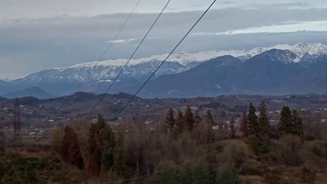 23.12.24 Абхазия. Гал. Голубые горы и горелый лес и мандари смотреть онлайн
