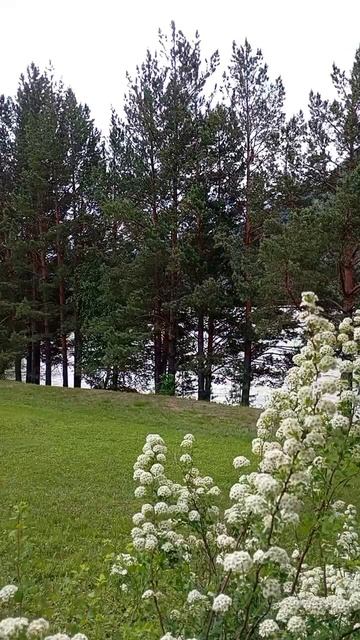 #relax видео #релакс