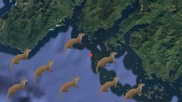 Они Сбросили Сотни Выдр в Умирающее Море Без Рыбы, Спу? смотреть онлайн