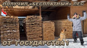 Как получить бесплатный лес от государства? Личный опыт.