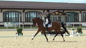 Соревнования по выездке в «Максима-Парк»