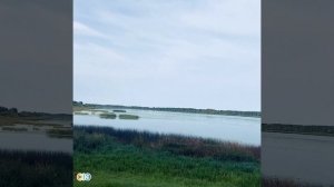 п. Некрасовское Ярославской области