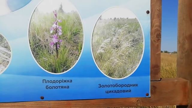 Острів Джарилгач ❤️ смотреть онлайн