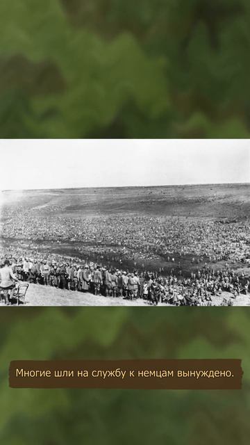 Представители каких народов СССР, не воевали на стороне Германии? #военнаяистория #двевойны #ссср смотреть онлайн
