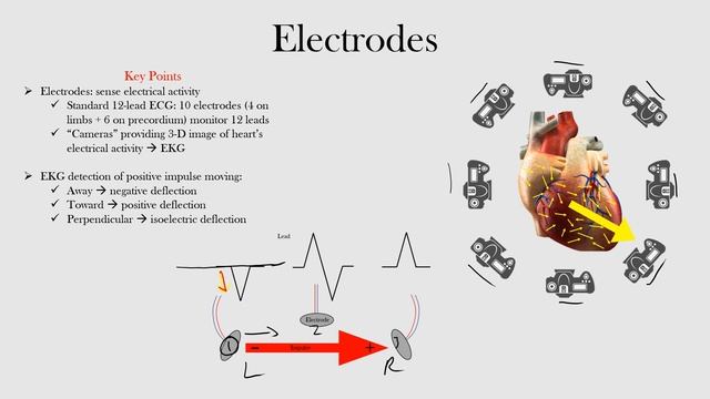5.Electrodes смотреть онлайн