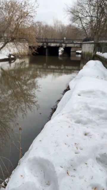 Мормышинг. Март 2024. Москва - Яуза - Ботанический сад. Тестирую Dayo Nano Atarashii. Отчет. смотреть онлайн