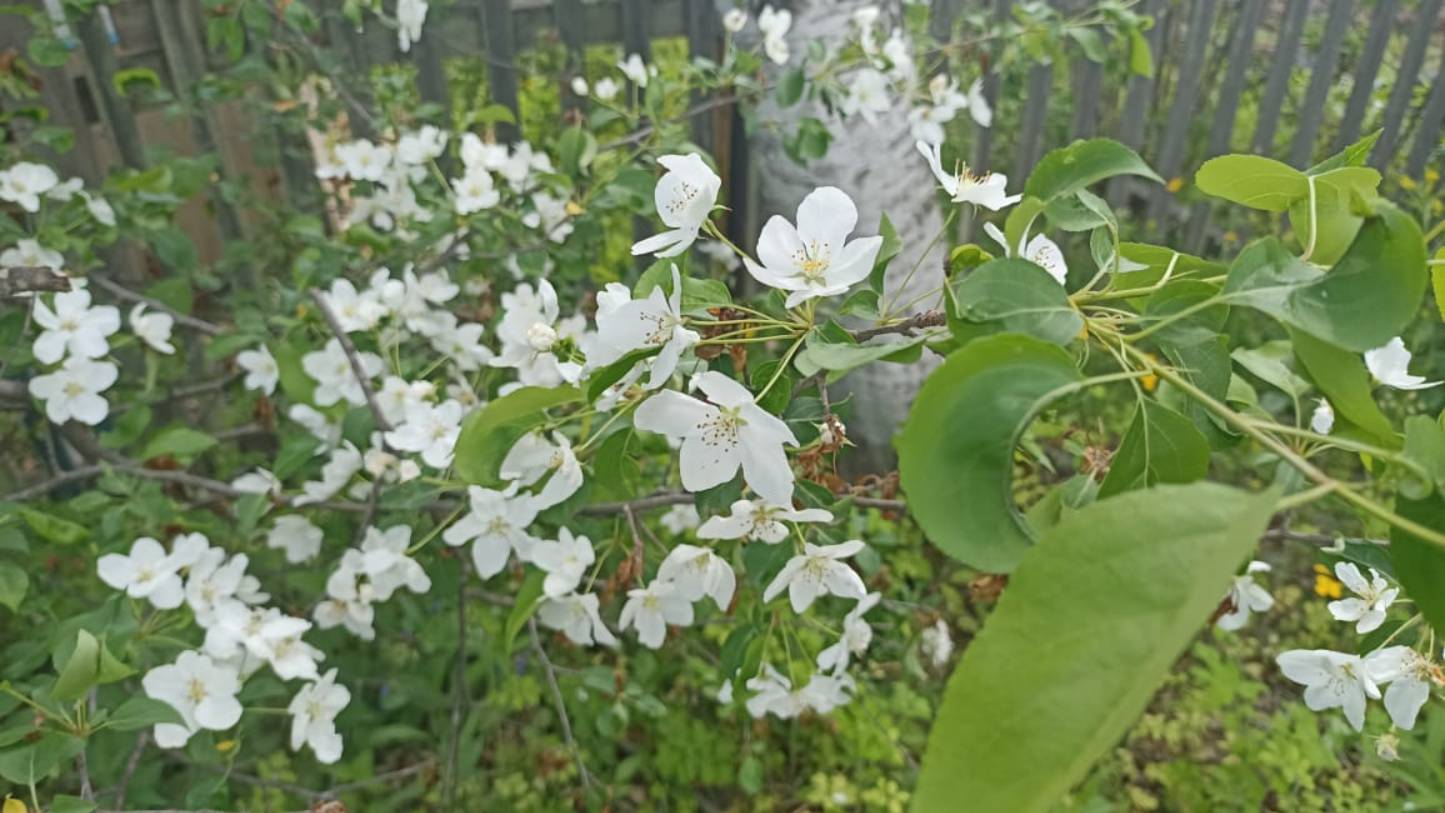 Ты сшей одежду для души смотреть онлайн