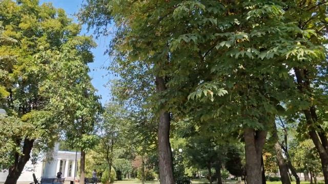 ИЗМАИЛ. ОТ НЕГАТИВА К ПОЗИТИВУ. ОЗЕРА БОЛЬШЕ НЕТ... ЗАТО