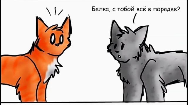 коты воители озвучка комиксов приколы (10#) смотреть онлайн