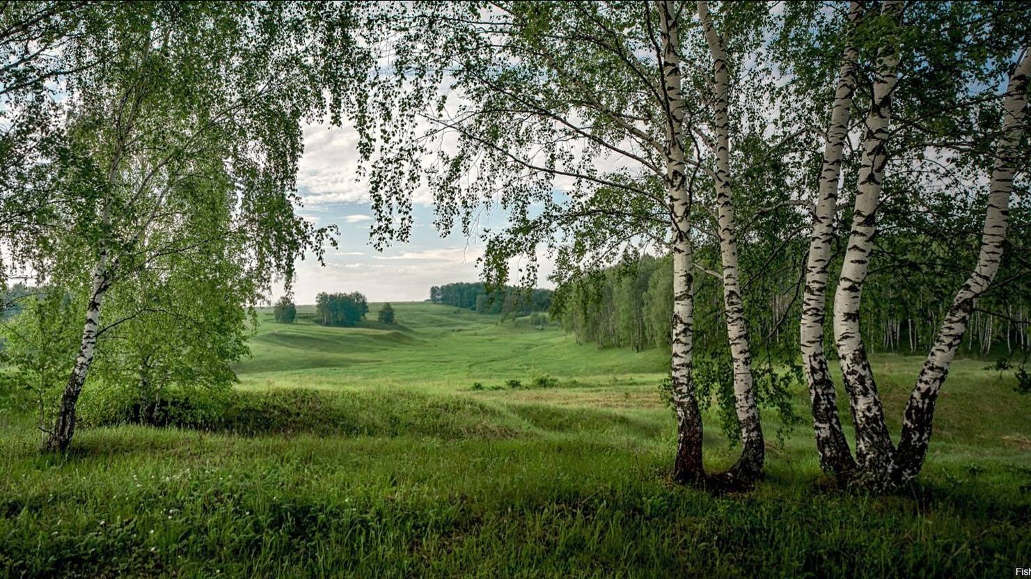 Умывает красно солнышко руки теплые в росе.