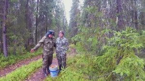 ДИКИЙ ЗВЕРЬ ВЫШЕЛ НА ГРИБНИКОВ. СБОР ГРИБОВ. ОНИ НЕ КОНЧАЮТСЯ