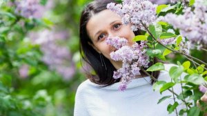 Одинокая ветка сирени