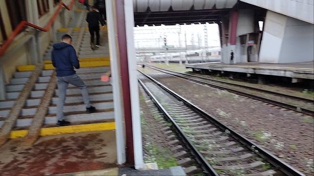 23 мая 2025 г. Высокоскоростной Электропоезд Сапсан ЭВС1-14 Обухово смотреть онлайн