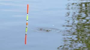 КРУПНЯК НА ПОПЛАВОК ВЕЧЕРНИЙ ЖОР ЛОВЛЯ КАРАСЯ