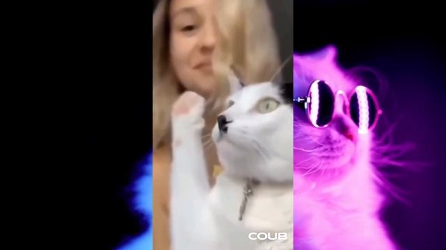 Коуб приколы 41 смотреть онлайн