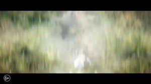 Покемоны:Детектив Пикачу