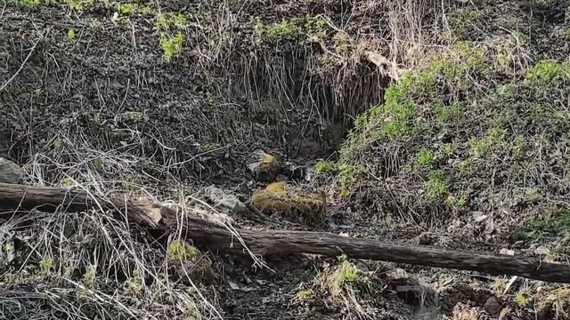 На водопад 2 родники смотреть онлайн
