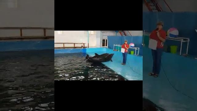 krim.mp4 смотреть онлайн